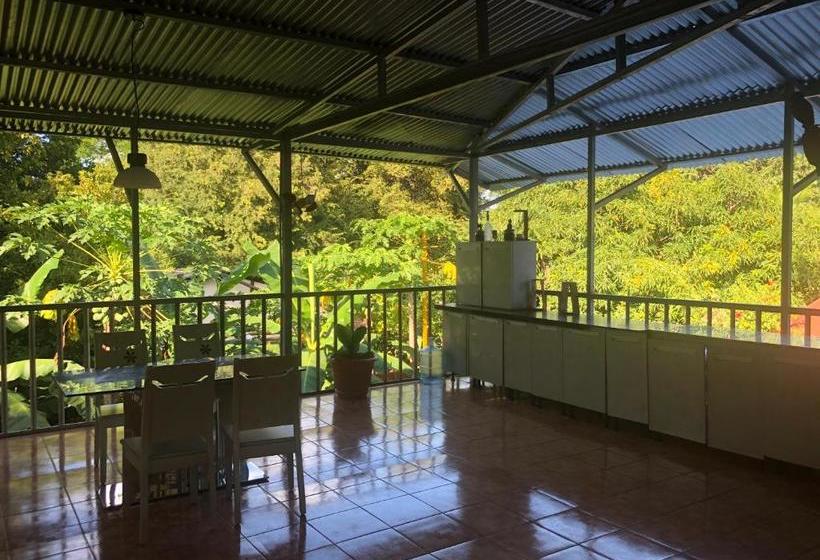 هاستل Toucan House