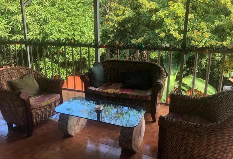 هاستل Toucan House