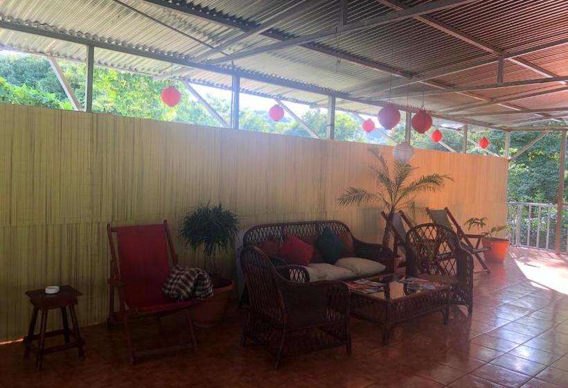 هاستل Toucan House