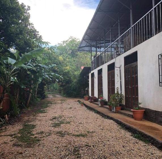 هاستل Toucan House