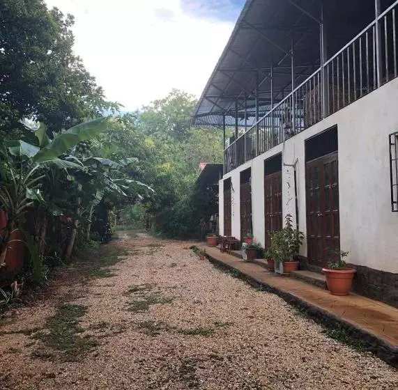 هاستل Toucan House