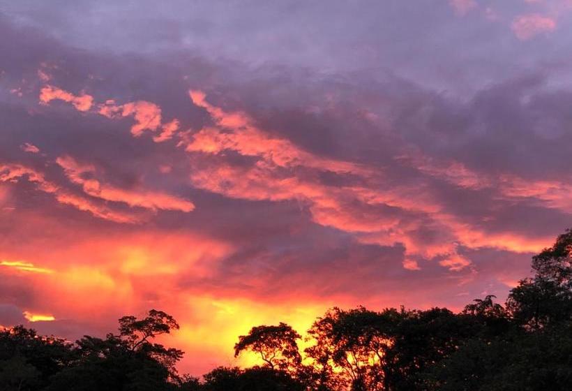 هاستل Toucan House