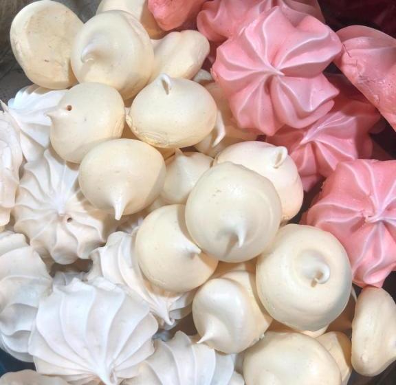 هاستل Toucan House