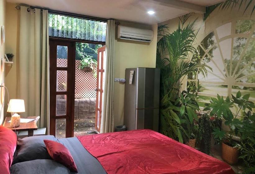 هاستل Toucan House