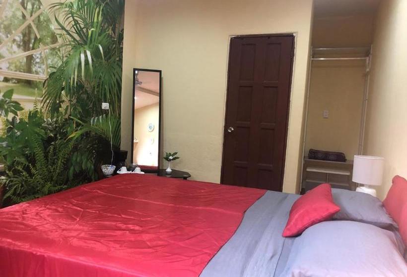 هاستل Toucan House