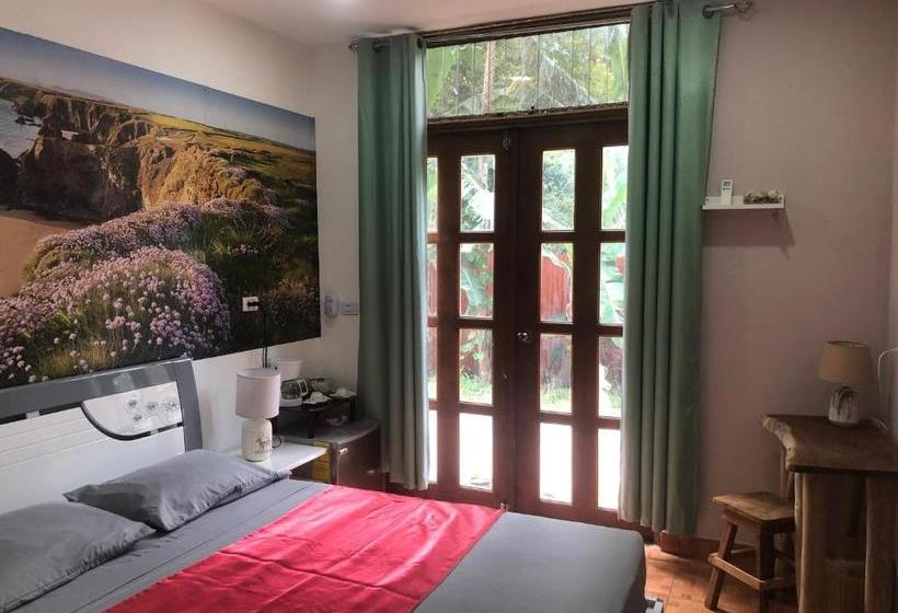 هاستل Toucan House