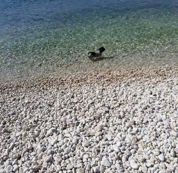 Studio Apartment Greis