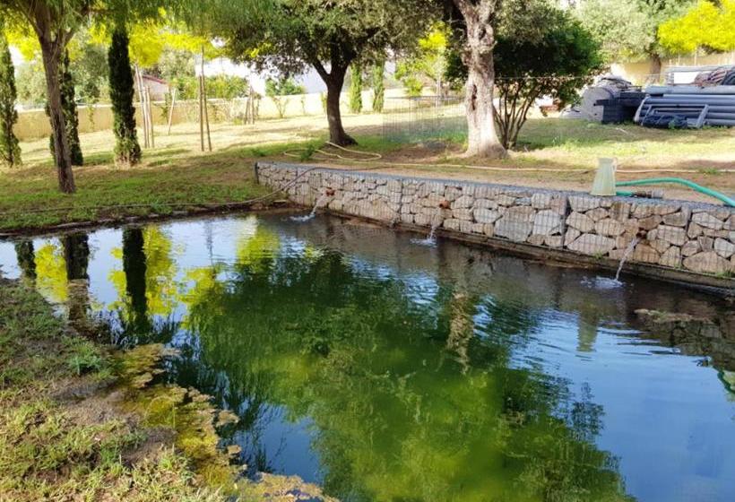 Maison De Vacances Enchantee A Calvi Avec Vue Sur Mer Et Montagne