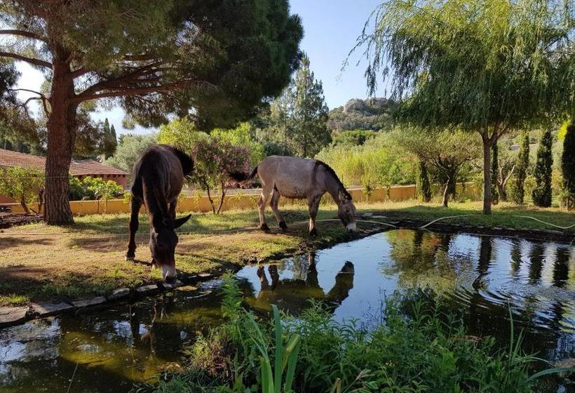 Maison De Vacances Enchantee A Calvi Avec Vue Sur Mer Et Montagne