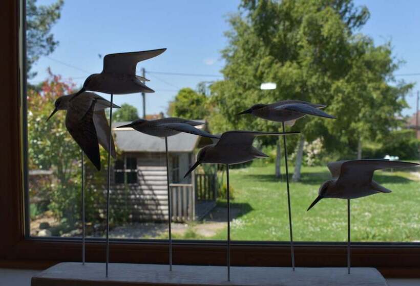 Stoats Old River Way