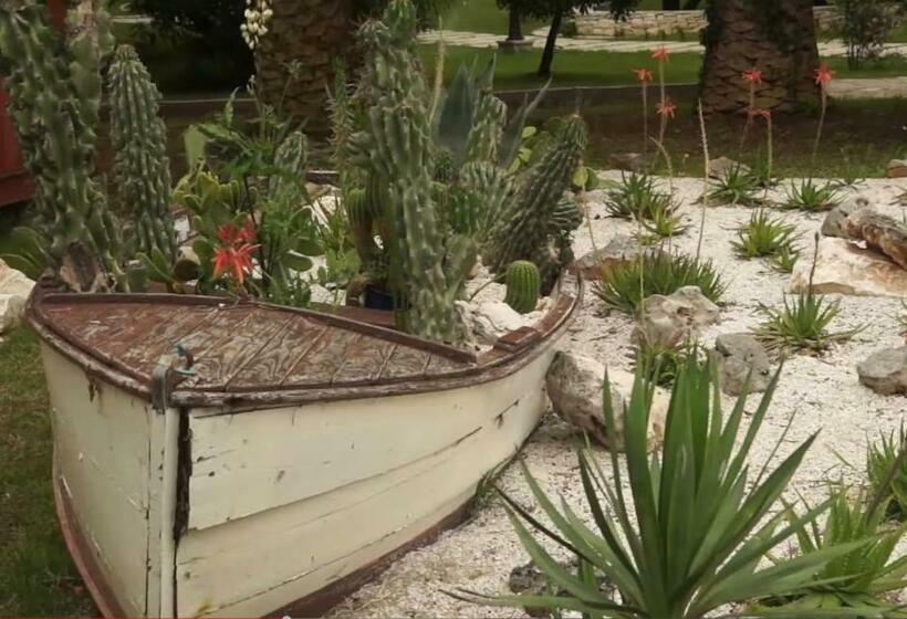 Apartments Best Location