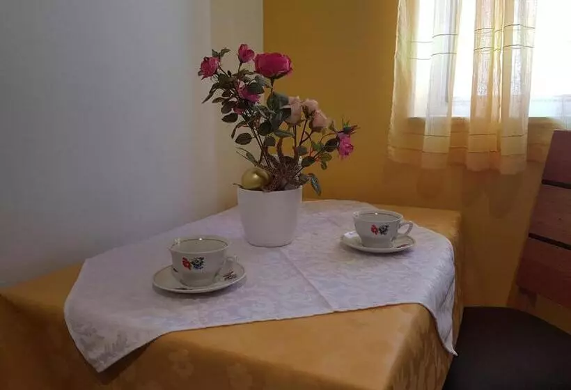 Apartments Brižić