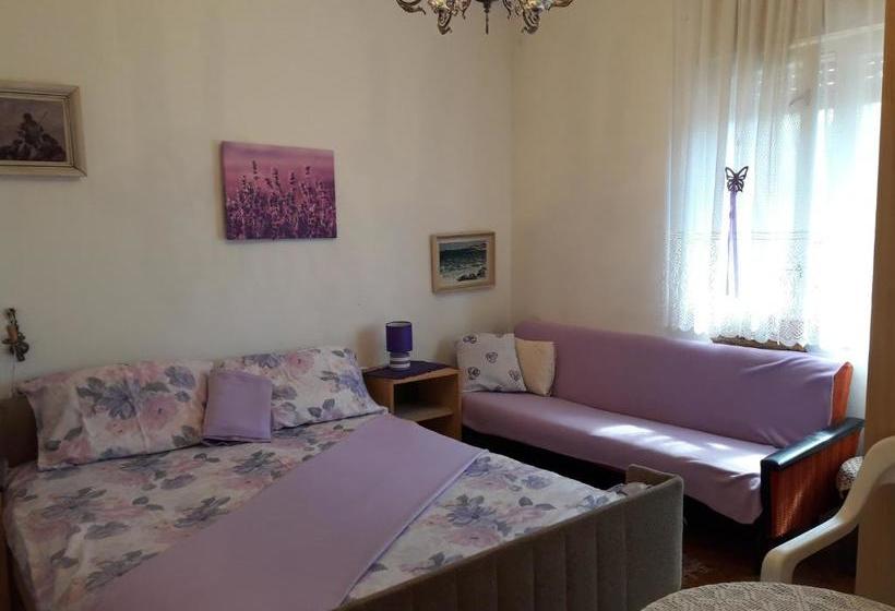 Apartments Luić 4244