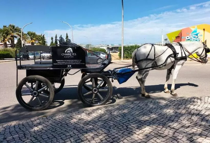 پانسیون Casa Afonso