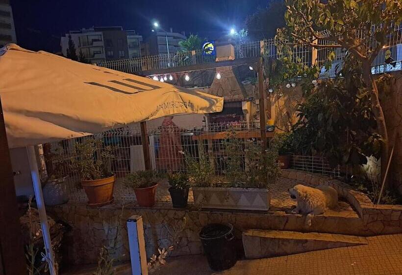 بنسيون Casa Afonso