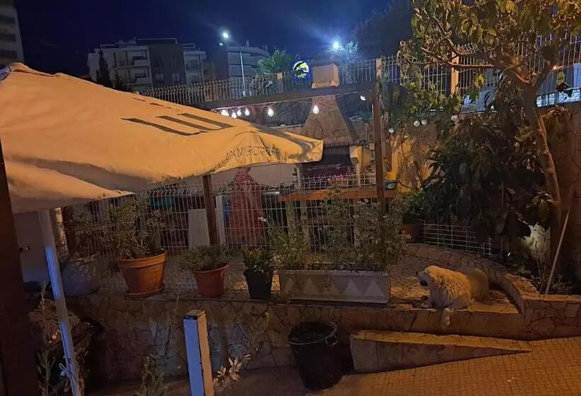 پانسیون Casa Afonso