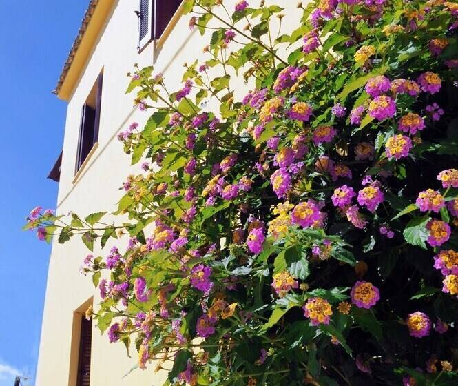 Traditional Greek Maisonette In Antiperni Village