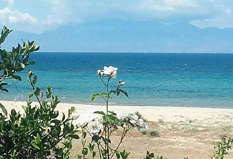 Traditional Greek Maisonette In Antiperni Village