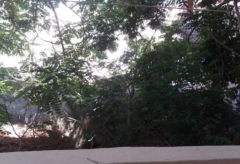 Maria House In The Port Of Kalymnos