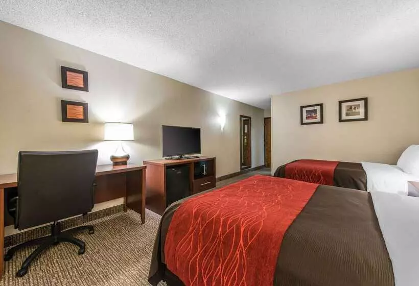 호텔 Comfort Inn & Suites Denver Northfield