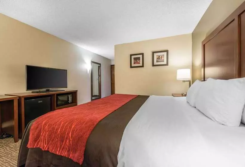 호텔 Comfort Inn & Suites Denver Northfield