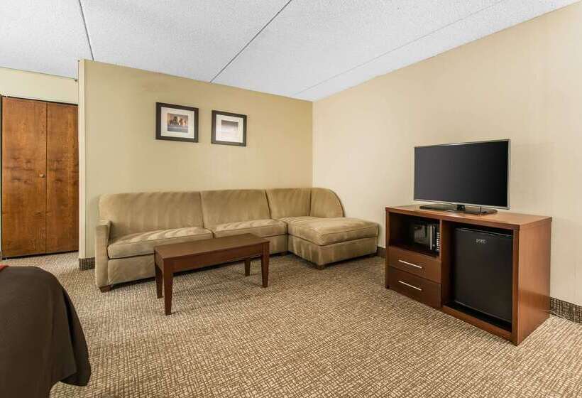 فندق Comfort Inn & Suites Denver Northfield