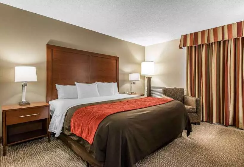 호텔 Comfort Inn & Suites Denver Northfield