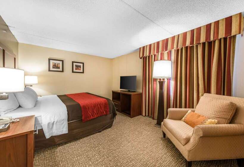 فندق Comfort Inn & Suites Denver Northfield