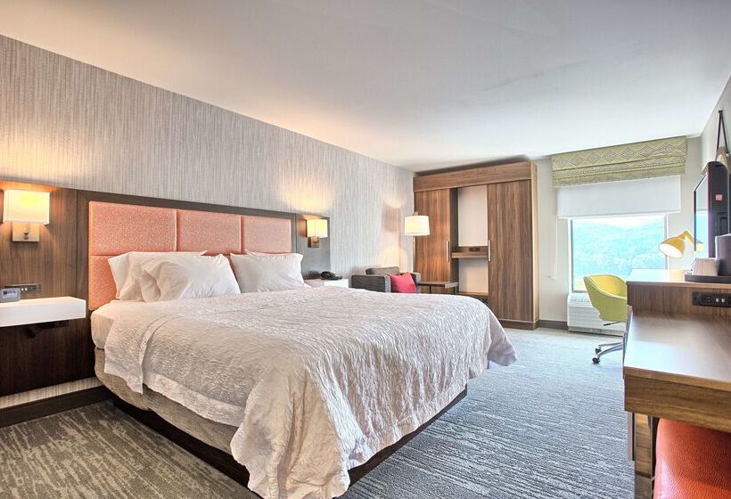 호텔 Hampton Inn Williamsportdowntown