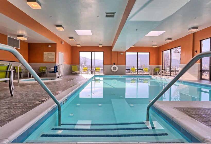 호텔 Hampton Inn Williamsportdowntown