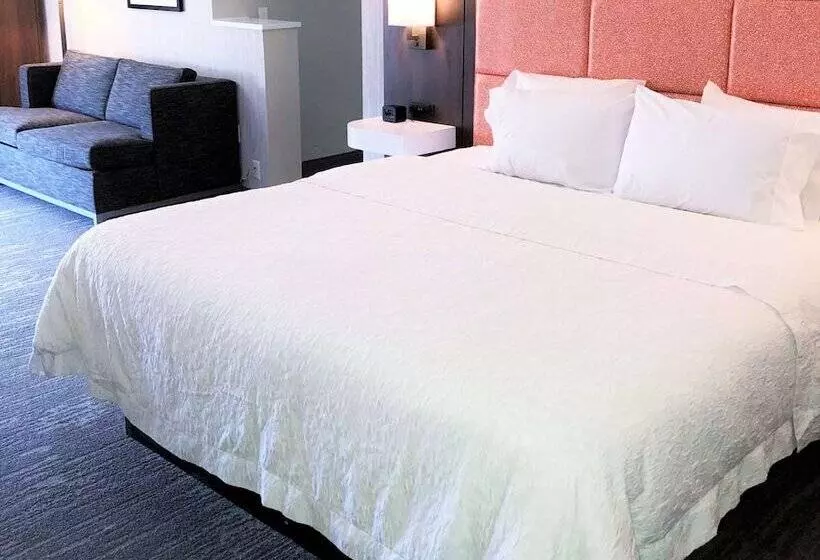 هتل Hampton Inn Williamsportdowntown