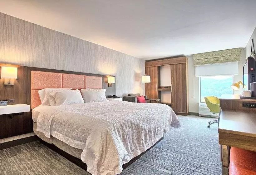 هتل Hampton Inn Williamsportdowntown