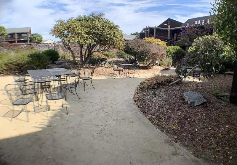 ホテル Harbor Lite Lodge