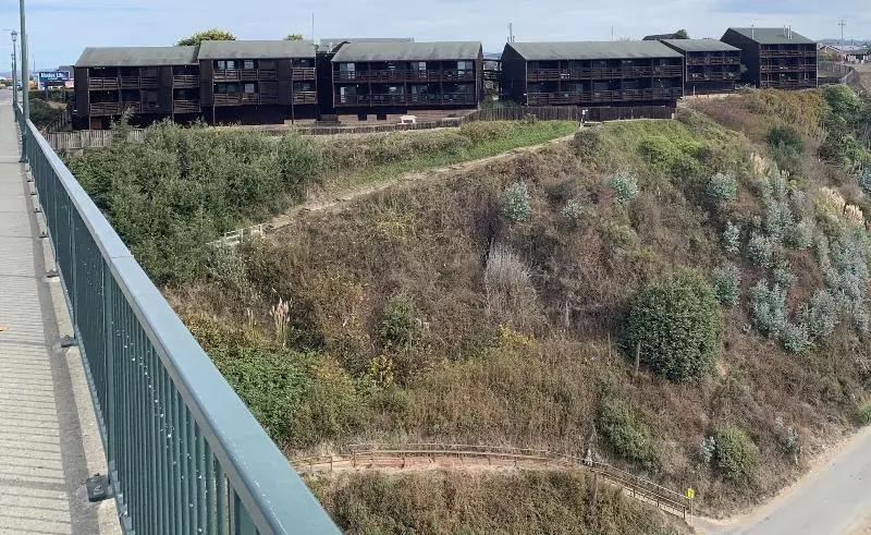 ホテル Harbor Lite Lodge