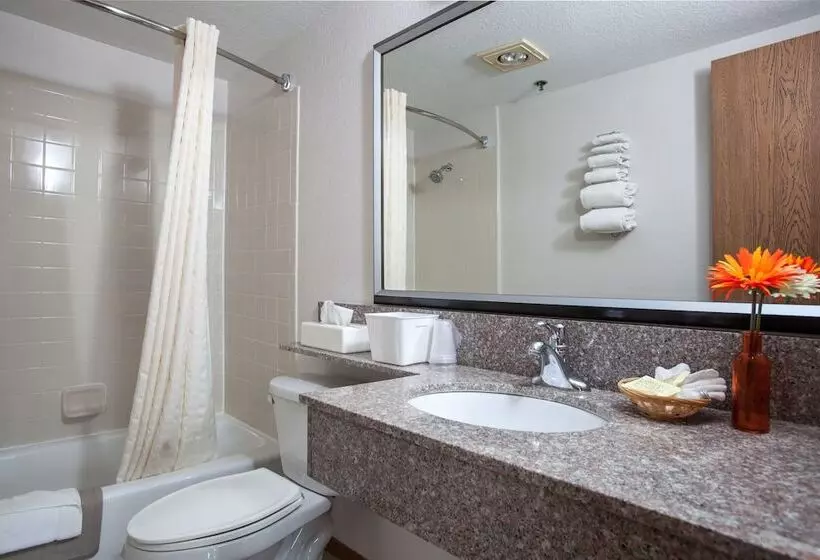 ホテル Heartland Inn Coralville