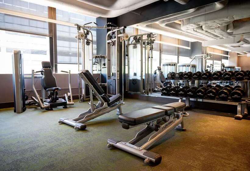 فندق Hilton Chicago O'Hare Airport