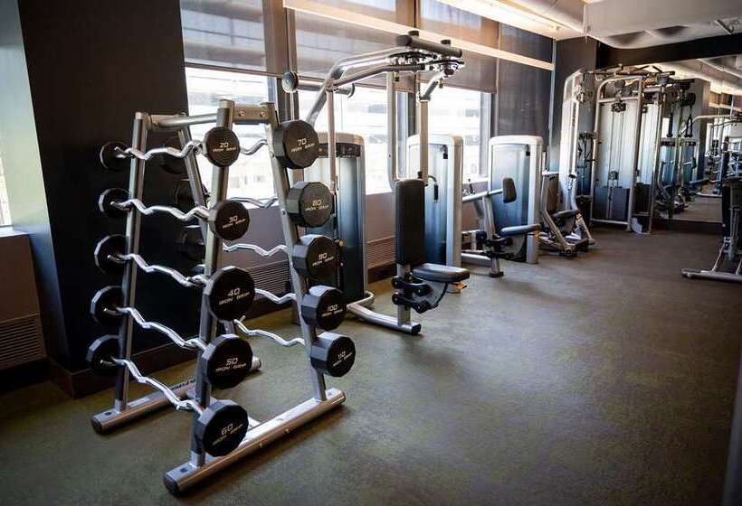 فندق Hilton Chicago O'Hare Airport