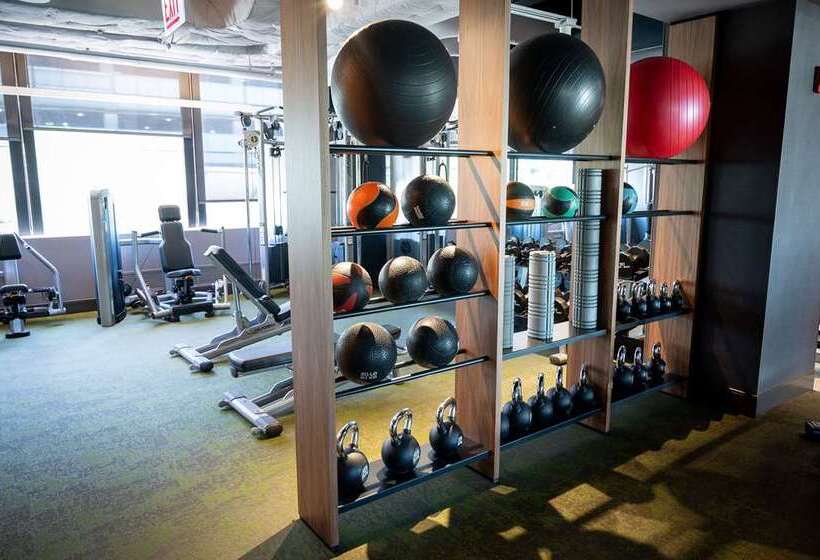 فندق Hilton Chicago O'Hare Airport