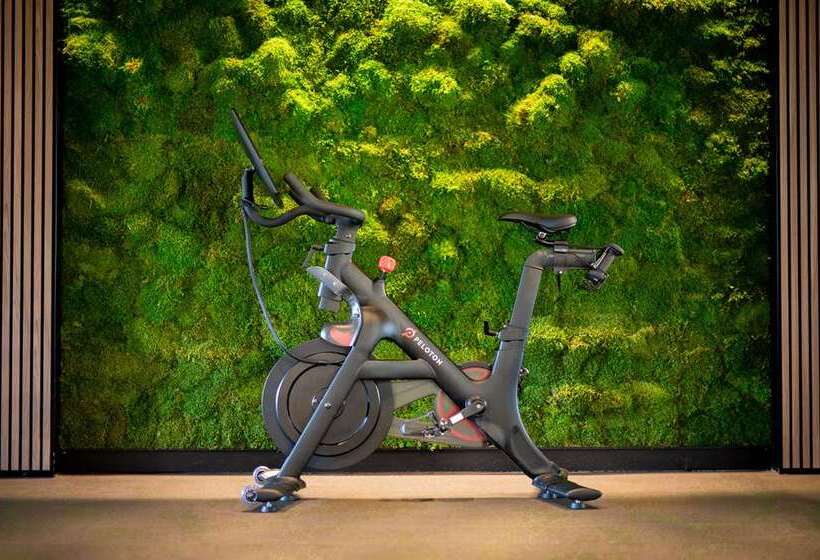 فندق Hilton Chicago O'Hare Airport