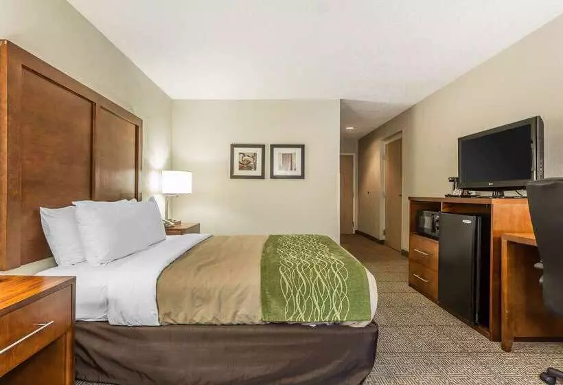 בית מלון כפרי Quality Inn Summervillecharleston