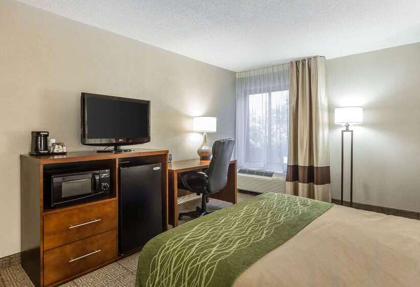 Отель Quality Inn Summervillecharleston