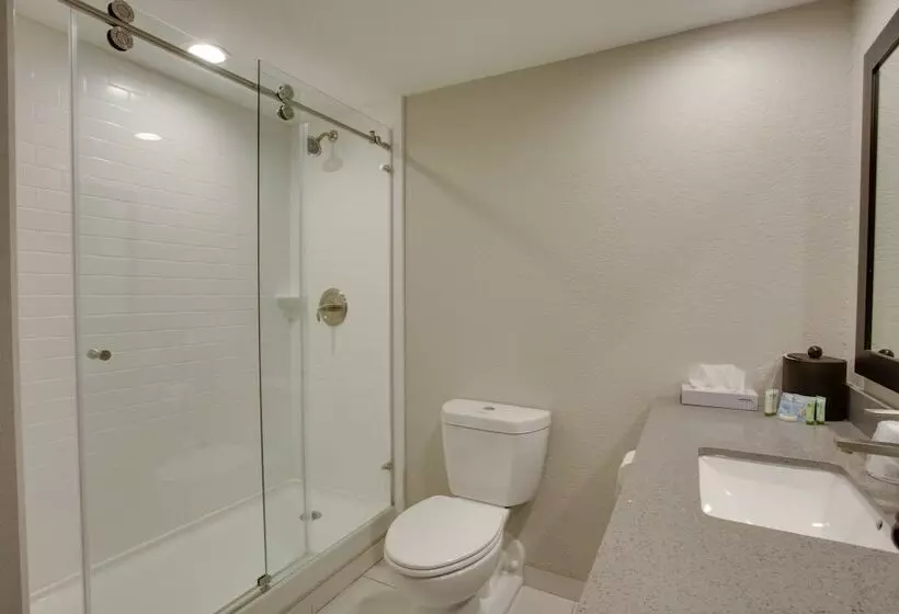 The Hotel Hot Springs