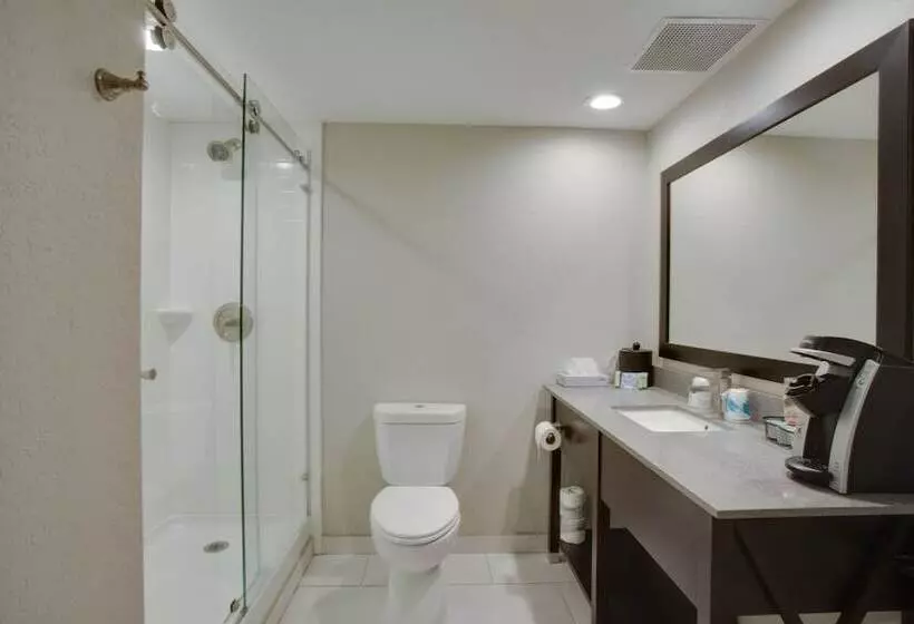 The Hotel Hot Springs