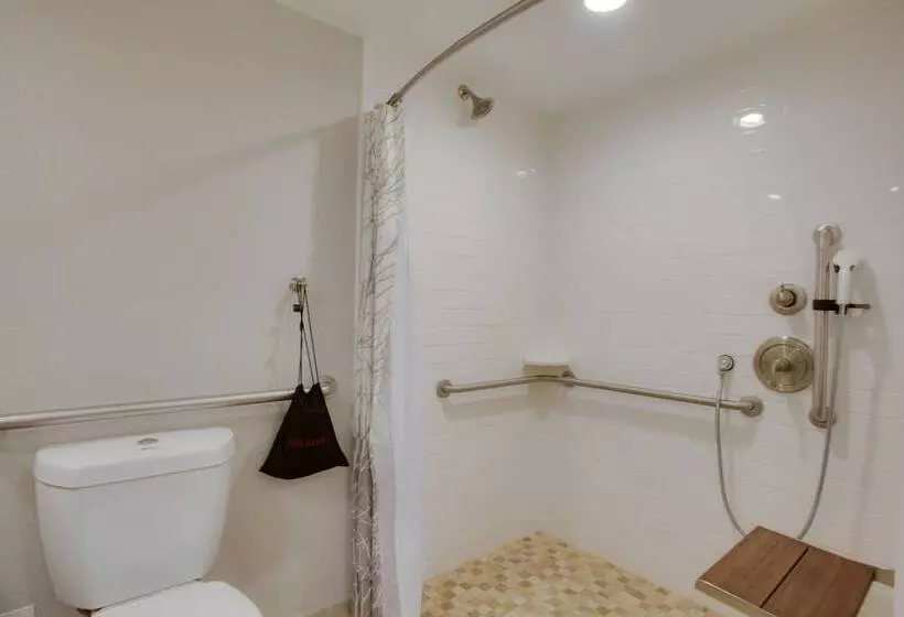 The Hotel Hot Springs