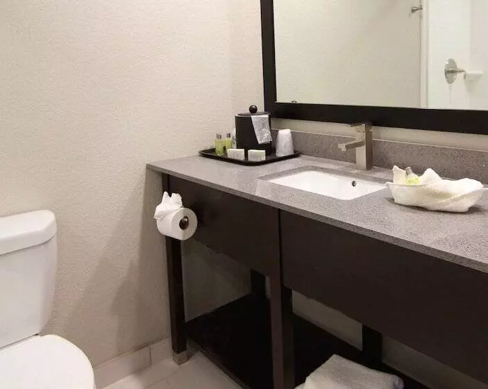 The Hotel Hot Springs