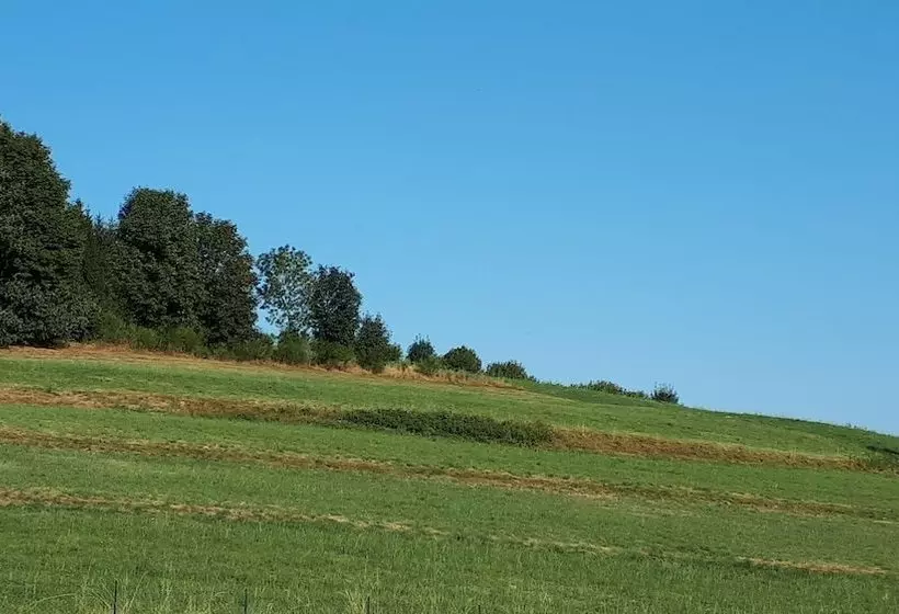 Au Petit Bonheur Vosgien Gîte Les Brimbelles