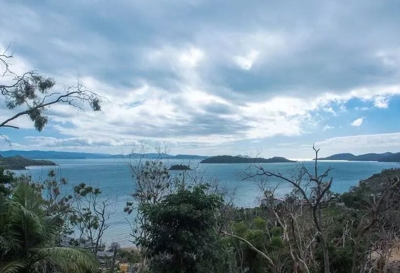 Panorama 11