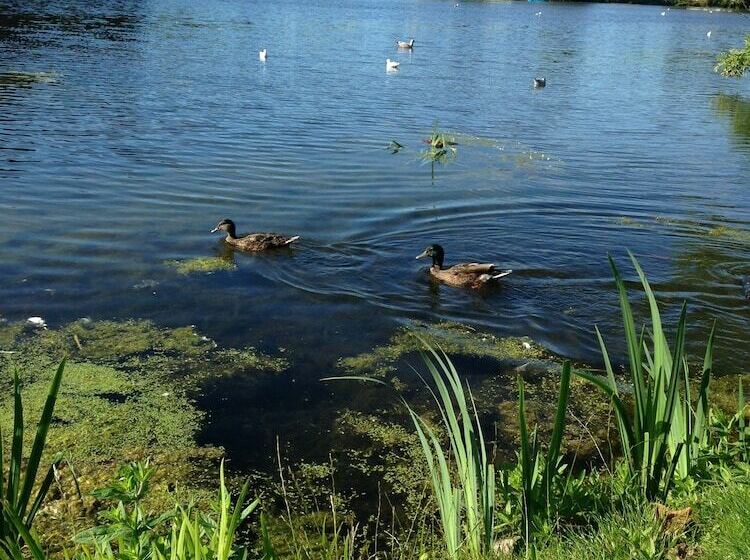 Отель Lakeside East