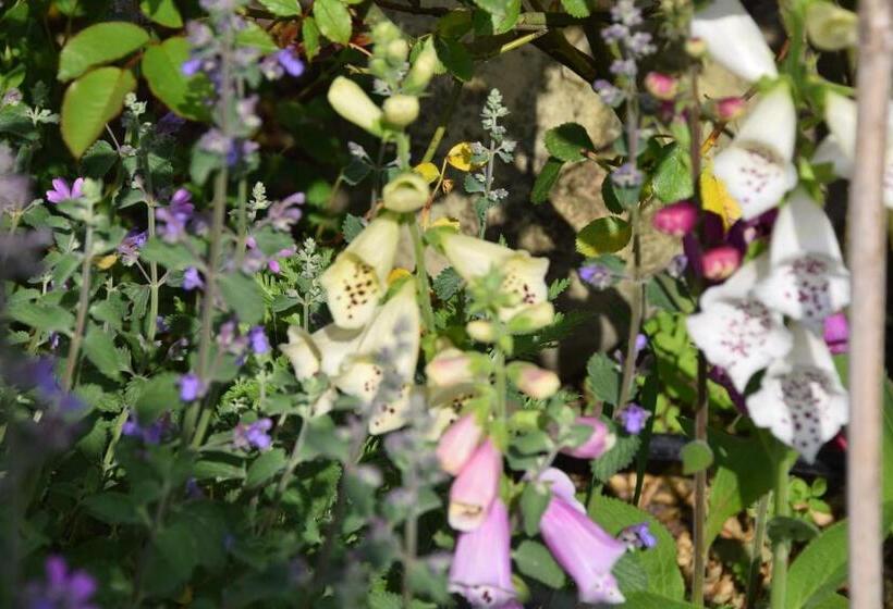 צימר La Villa 13&15