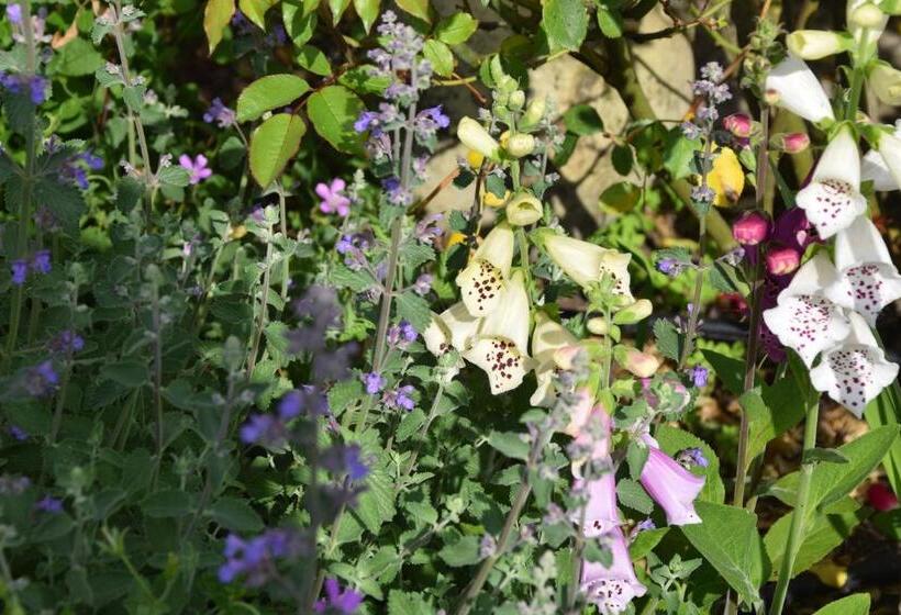 צימר La Villa 13&15